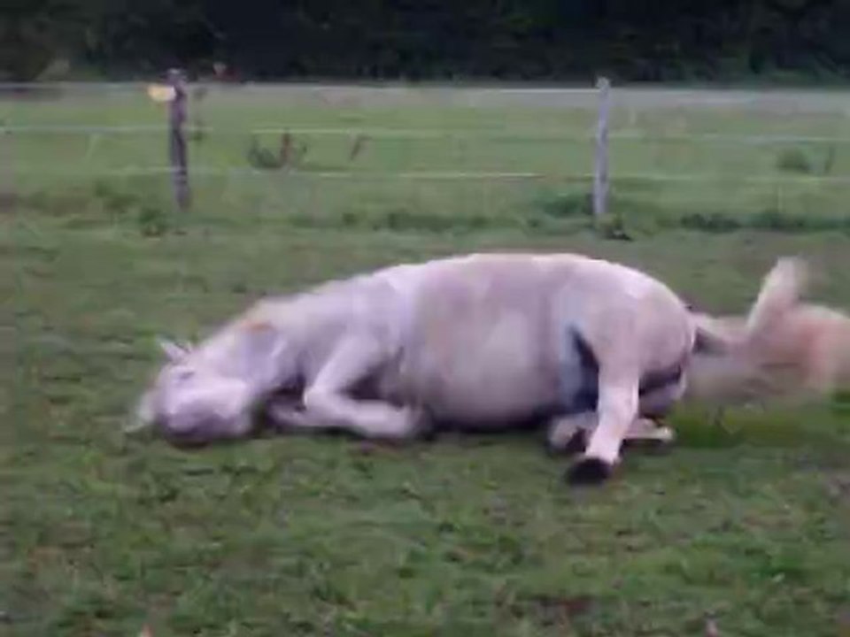 après le travail le réconfort