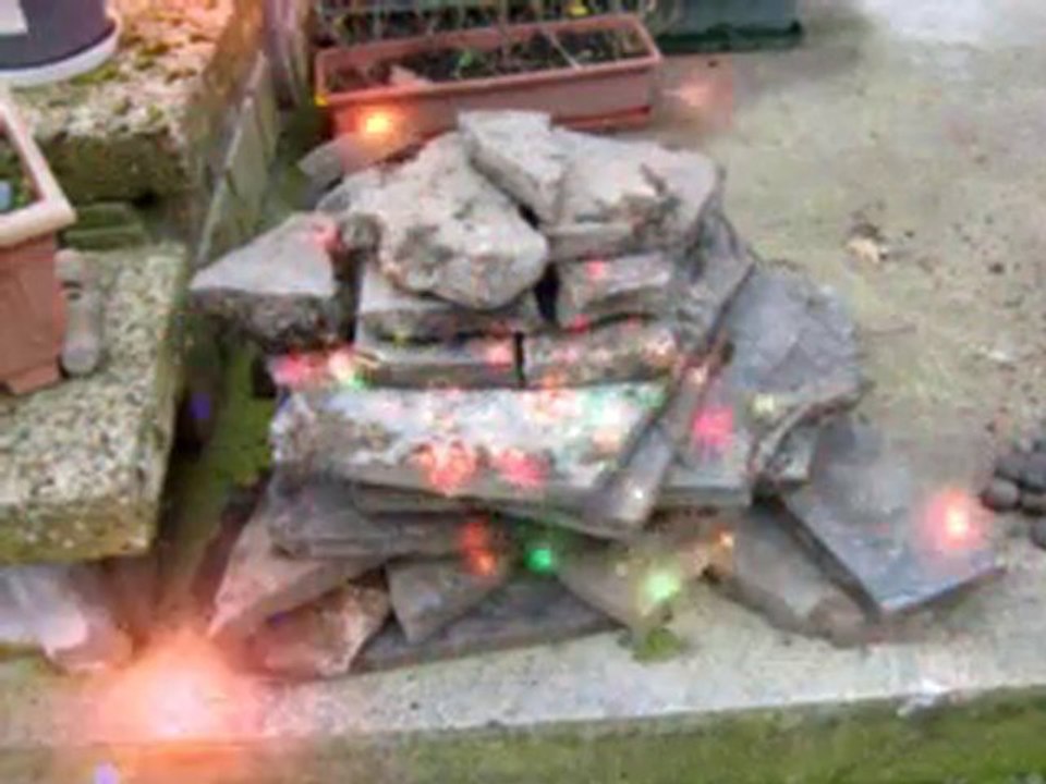 bassin avec une zik du nord