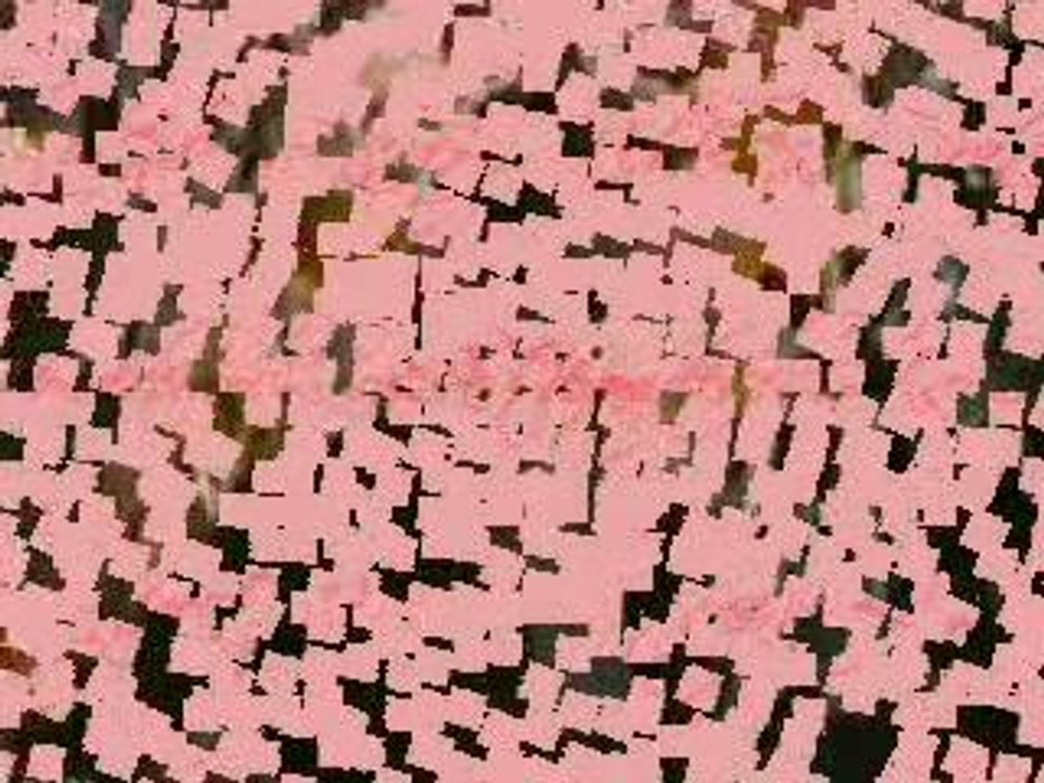 Broe-Clip_0001