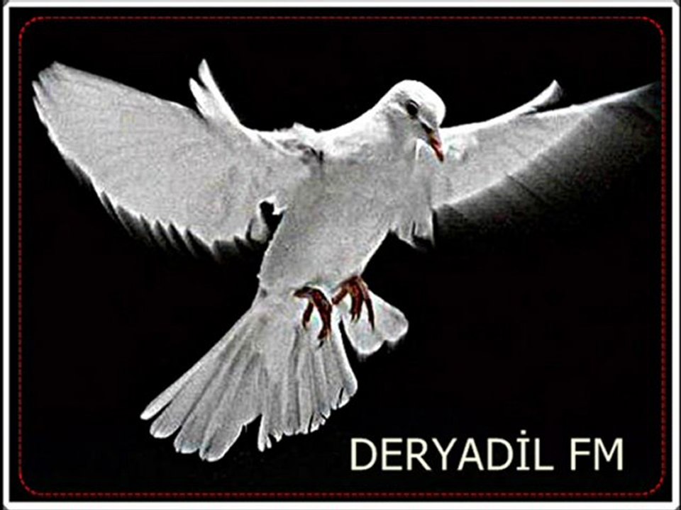 sıla naz  - bosaymıs sevdam.wmv