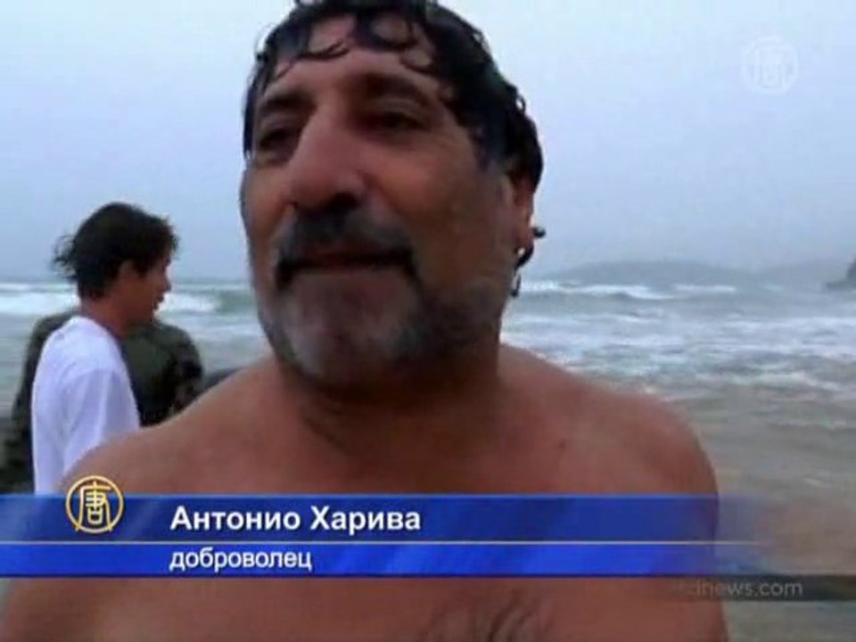 Бразильцы пытаются спасти 25-тонного кита