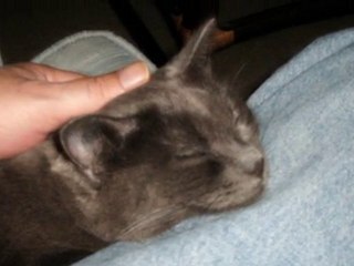 Sasha (ADI BENDE SAKLI)