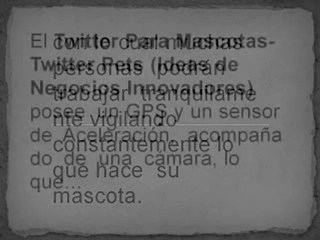Twitter Para Mascotas-Twitter Pets