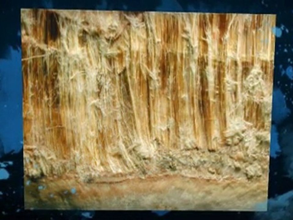 Asbestos Testing Augusta GA