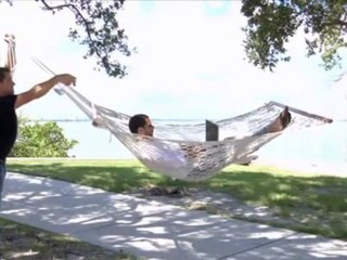 Freedomsoft Reloaded Review