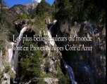 Clip Provence-Alpes-Côte d'Azur numero 1