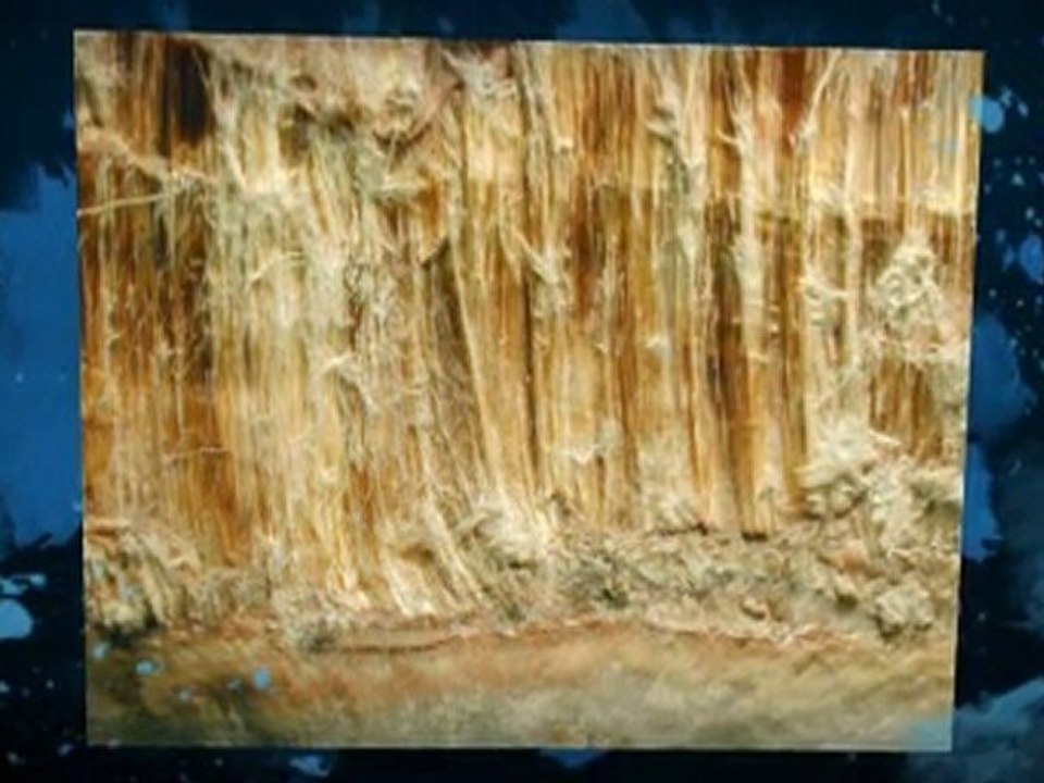 Asbestos Testing Roswell GA