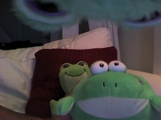 Around the frog's world
