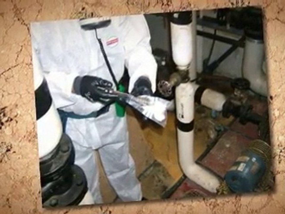 Grants for Asbestos Removal Roswell GA