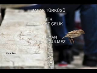 SERDAL GÜLMEZ  şafak türküsü şiiri tümü