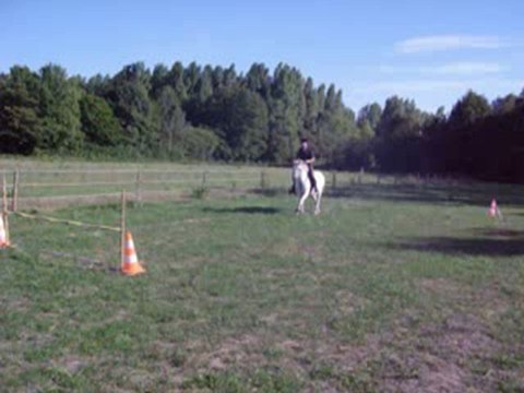 la new puissance 3 cso galina et ma louloute