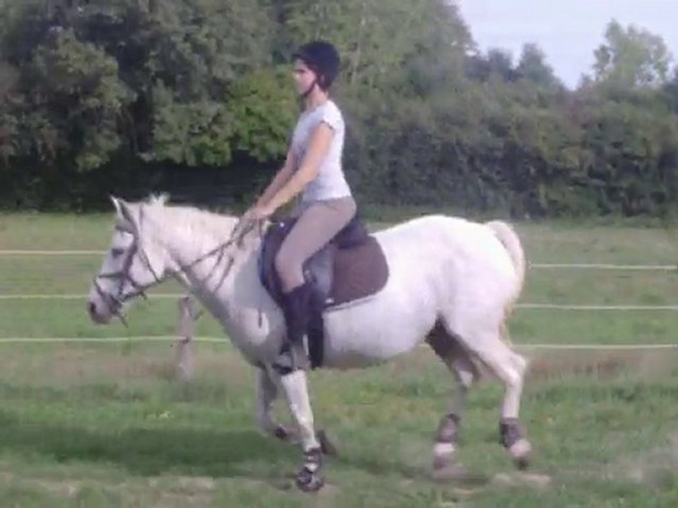 maria et sa position de pro cso