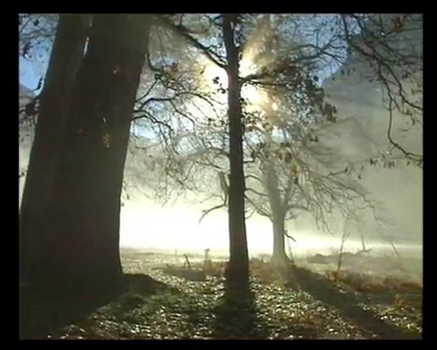 ne güzel sey hatırlamak seni