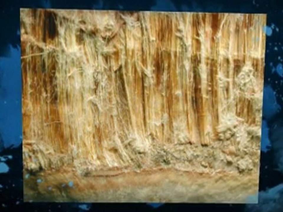 Asbestos Testing Avondale AZ