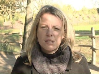 L’incroyable histoire de Quax, le Pélican blanc