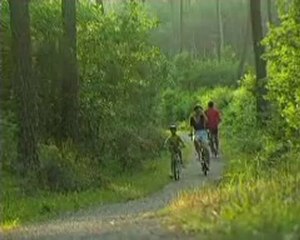 Découverte des Landes