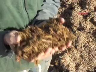 JT Vendée agricole TV du 29 octobre 2010