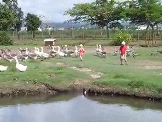 7 Ferme de perrine  (94) 22 10 2010