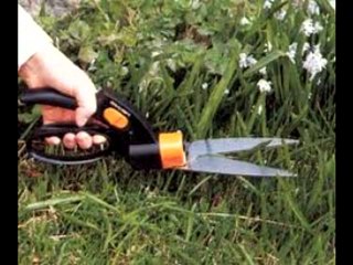 Jardineria - Jardineria Curso - Curso Jardineria