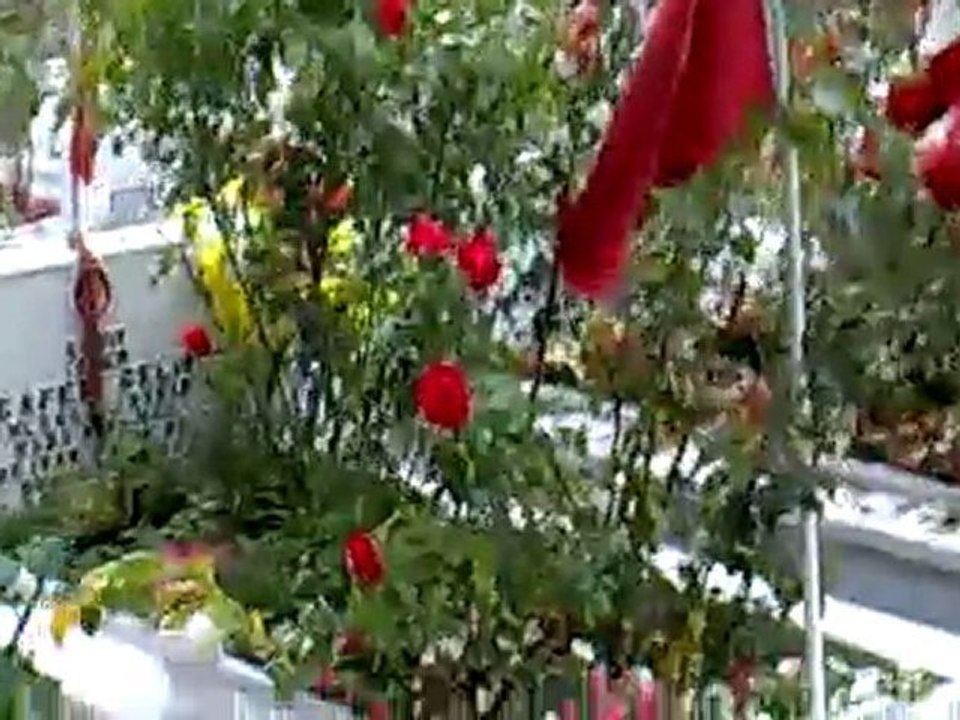 29102010004
