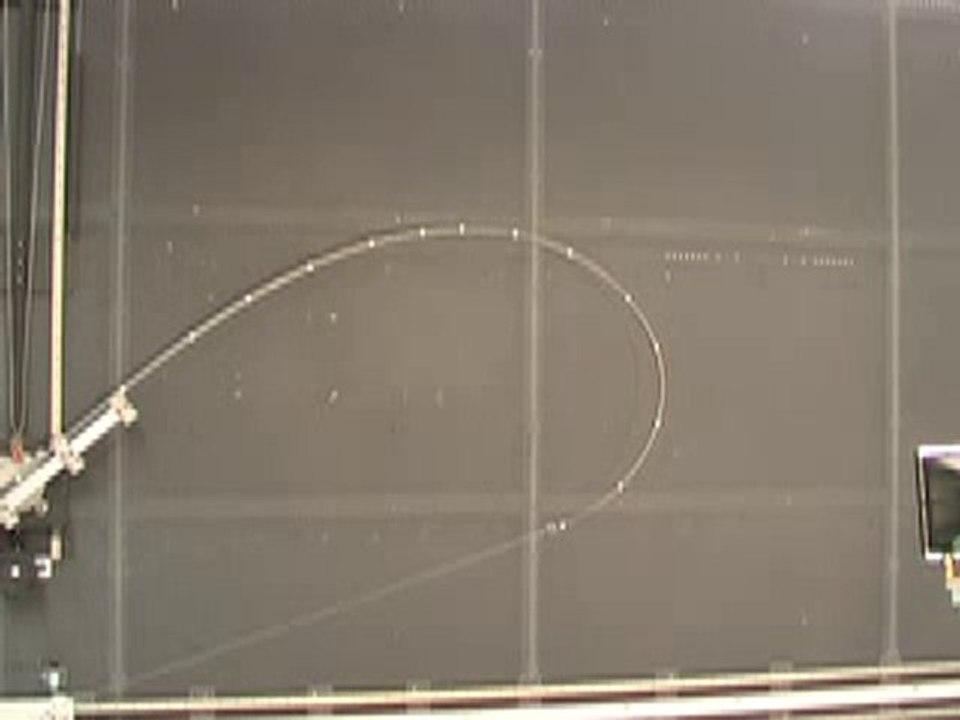 Kamış Testi - www.balikdostlari.com