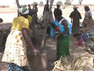 visite de Koro et projets 2010-2