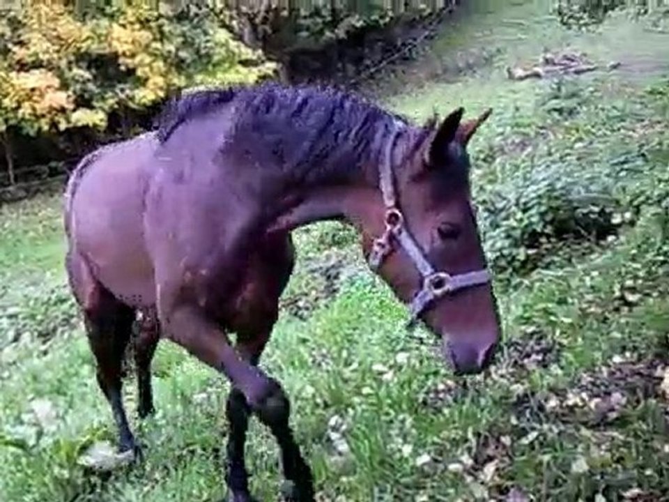 Jolie le 29 octobre 2010 sauvetage