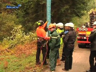 A quoi ressemble le sapin de Noël? (Strasbourg)