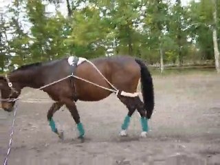 29102010 Galant pessoa 007