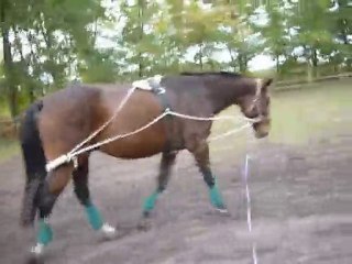 29102010 Galant pessoa 008