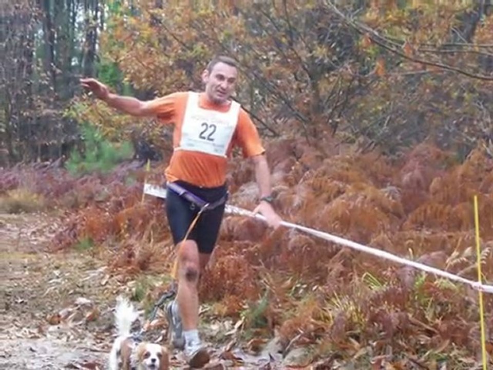 canicross11-2010