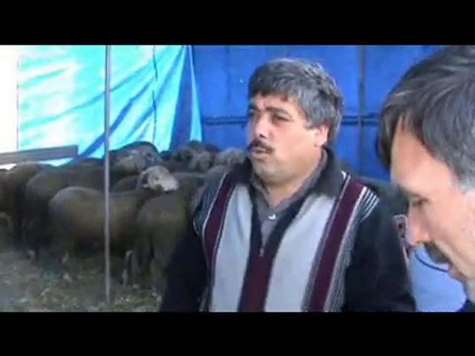 Silivri'de Kurban Pazari