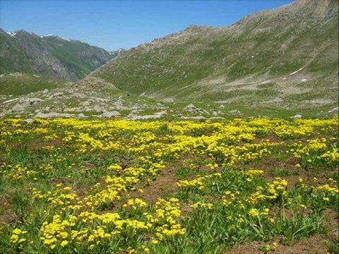 kaçkarlar-hemşin tulum- kavrun.tr.gg