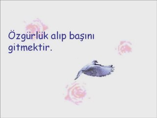 Hayata Sevgiye Dair...
