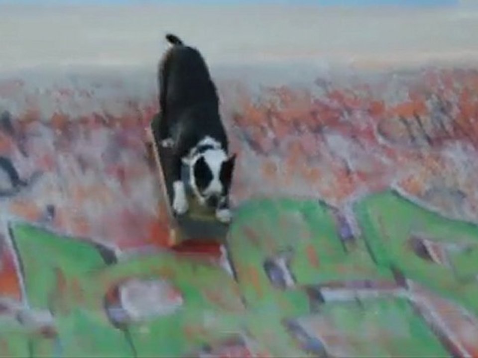 Neo Tux at Skatepark