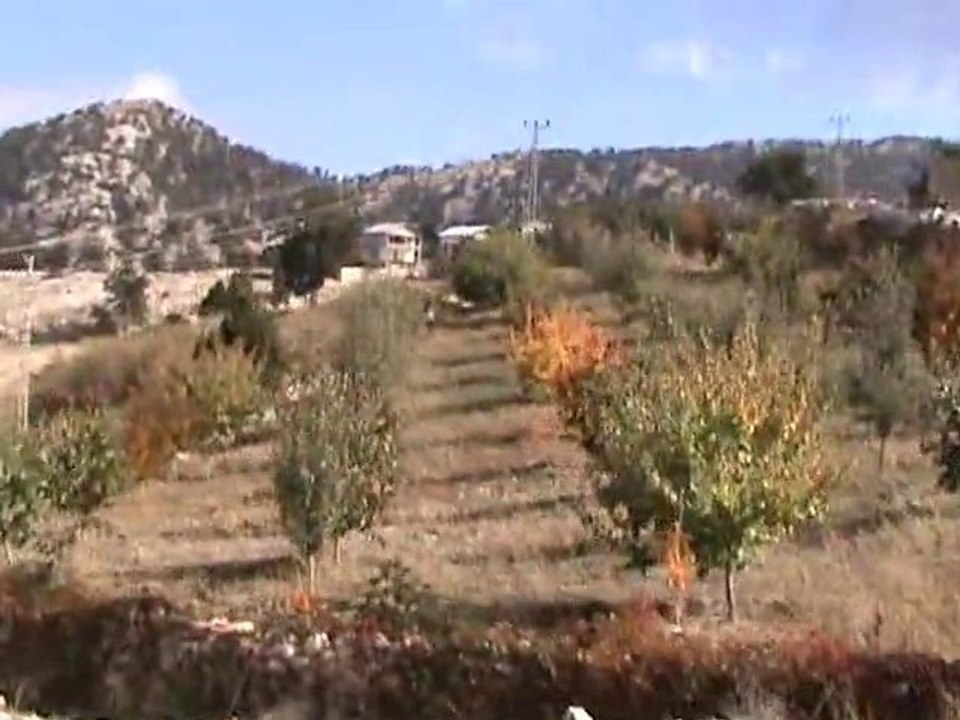 Narpızlı Mor Yayla Alanları Antalya -Narpızlı Purple Plateau