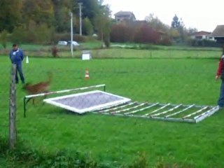 RING: elboy 10 mois faussé