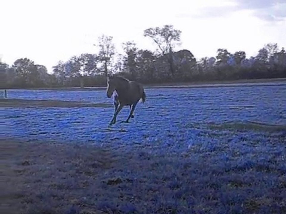 Octobre 2010 avec Paola