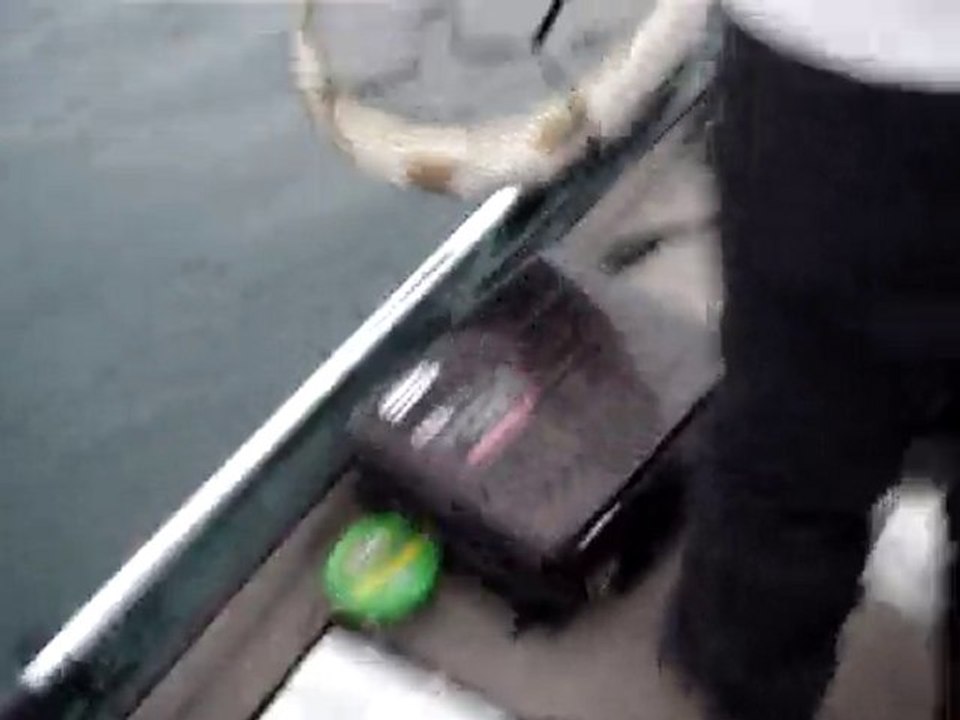 Brochet de 9Ocm, par Corbeau à Miribel, by F.U.K