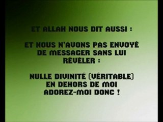Cheikh Rabee Al Madkhali question autour du TAWID.