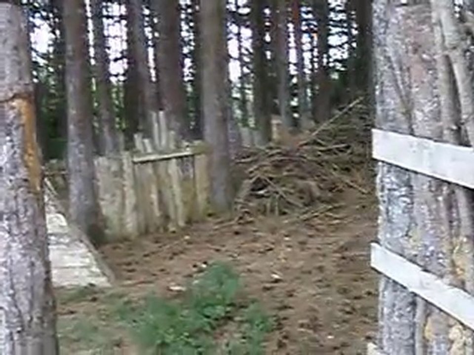 2010-07-25-Airsoft-g