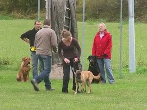 Entrainement refus d'appats