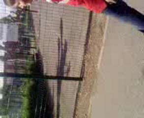 Nous dans notre quartier Mddrr