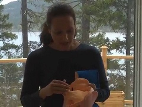 Eco-friendly Washable Dog Diapers for Dog Incontinence