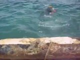 Datca: denize atilmis  atiklar cikariliyor, Haziran 2010