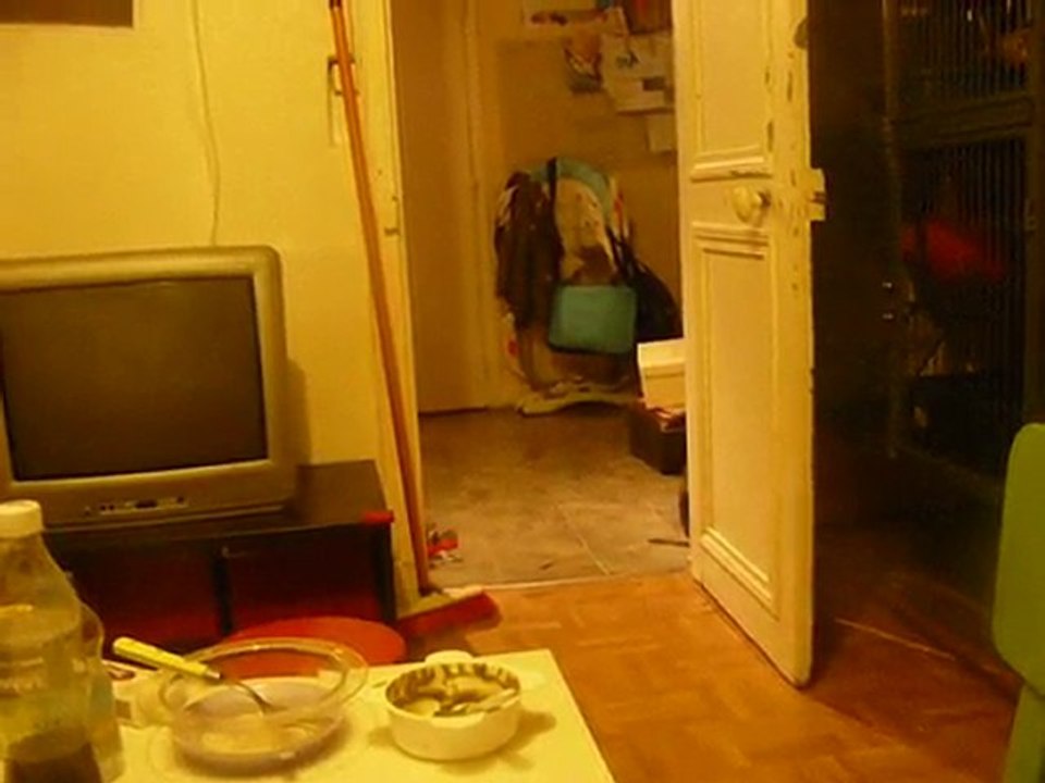 Test 1