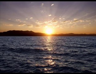 Dub FX - Love me or not