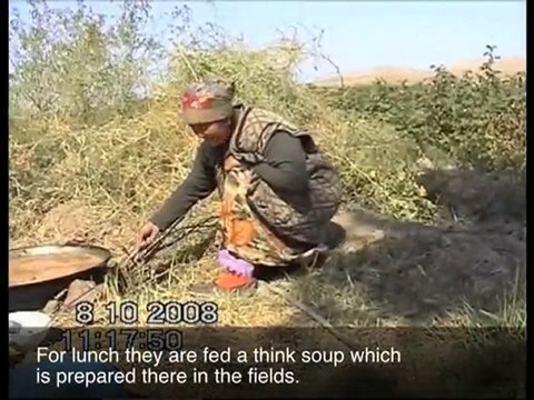 Association Droits de l’Homme en Asie Centrale(coton 2008-2)