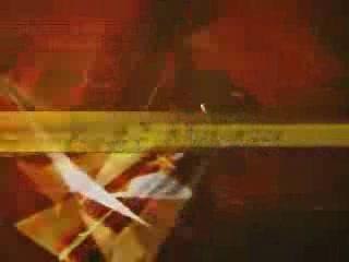 fear factor - Araignée vivantes