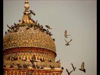 Cheikh Ali Alhodaifi derniere sourate du Kor'an bien aimé